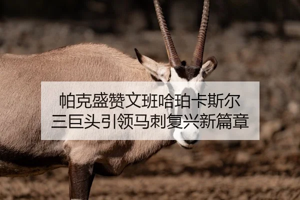 帕克盛赞文班哈珀卡斯尔 三巨头引领马刺复兴新篇章